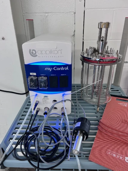 Applikon 2019 my-Control 2 L Small Scale Bioreactor, Cell Culture Bio Reactor