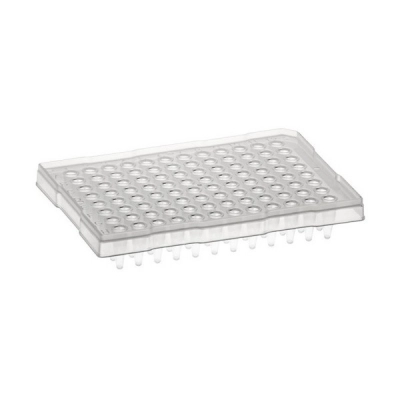 Simport Amplate Raised Rim Thin Wall PCR Plates, 200 &micro;l / With Skirt (Cs/100) T323-103N