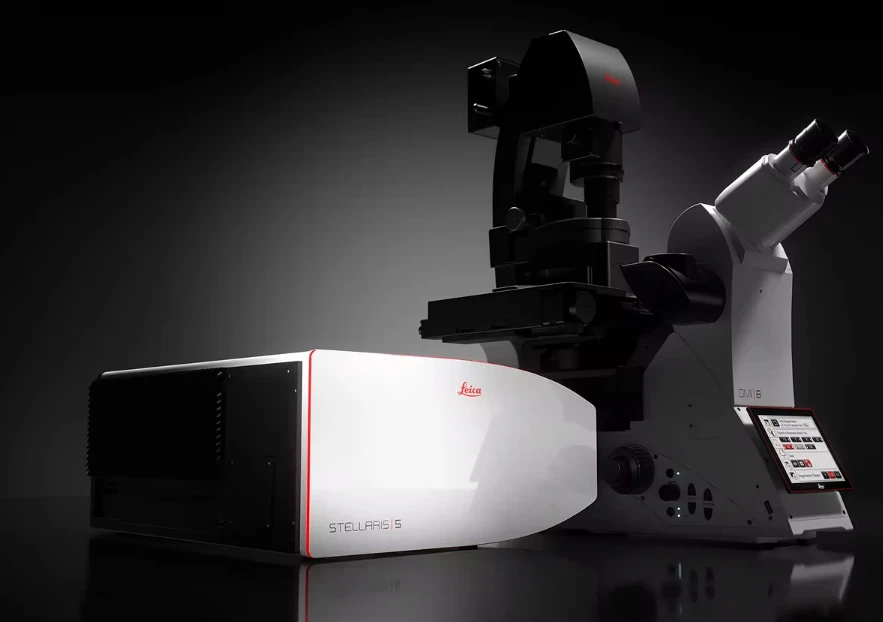 Leica STELLARIS 5 Confocal Microscope Platform