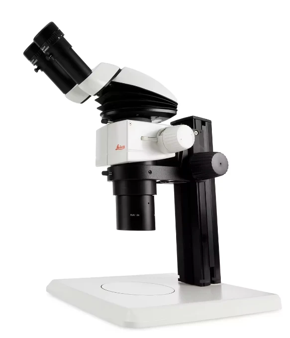 Leica M80 Routine Stereo Microscope