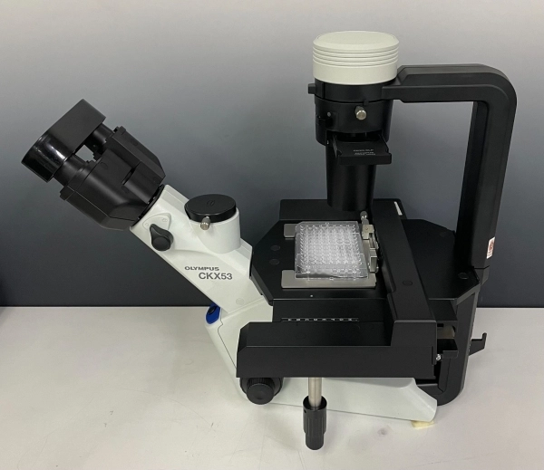 Olympus Inverted Phase Contrast Microscope CKX53. CALL LABTRADER FOR INVERTED, FLUORESCENT,COMPOUND AND COMPONENTS