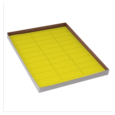 Globe Scientific Label Sheets, Cryo, 67x25mm, Racks and Boxes 20 Sheet Yellow Box of 600 LCS-67X25Y