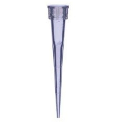 United Scientific 0.2 -10 ul Micropipette Tips, Low Retention, PP, Graduated P10001