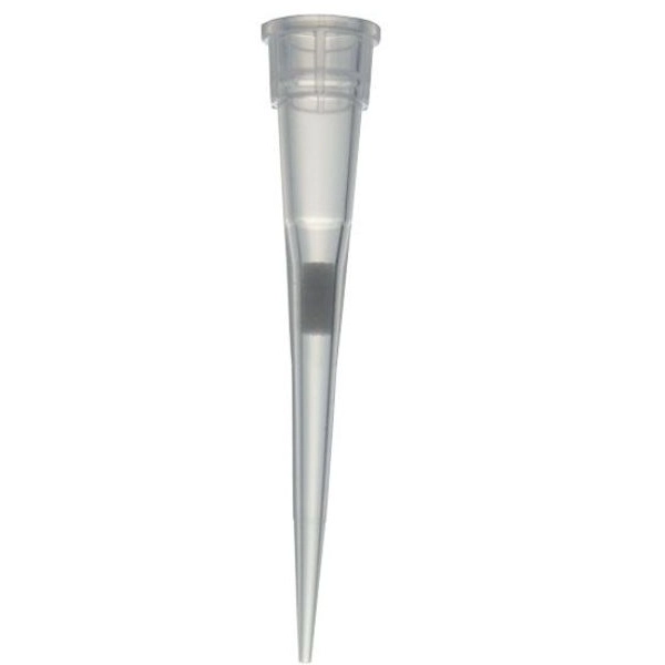 United Scientific 10 ul Universal Pipette Tips, with Filter, Racked, Sterile UNUFT010UL