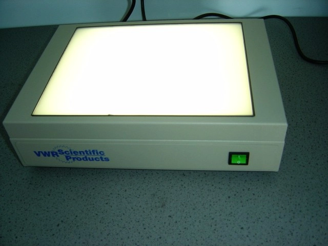 VWR Benchtop White Light Transilluminator