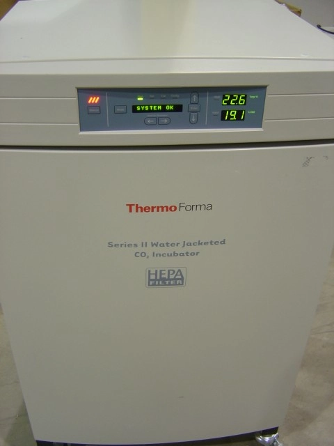 Forma 3110 CO2 Incubator Mint 000596