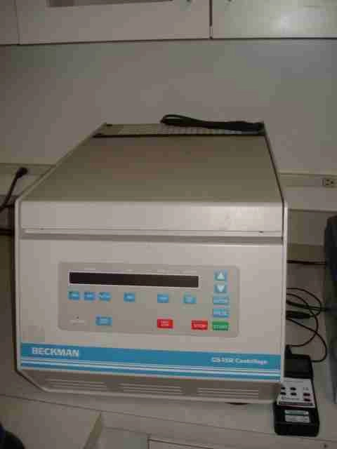 Beckman GS15R Centrifuge