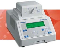 Eppendorf Mastercycler  PCR