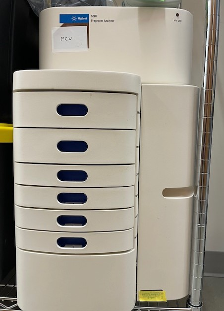 Agilent 5200 Fragment analyzer - Excellent | LabX.com