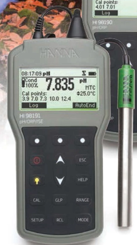 Hanna HI 98190 Digital Portable pH-ORP Meter