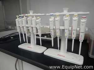 Lot of 11 Various Size Thermo Scientific Pipettors