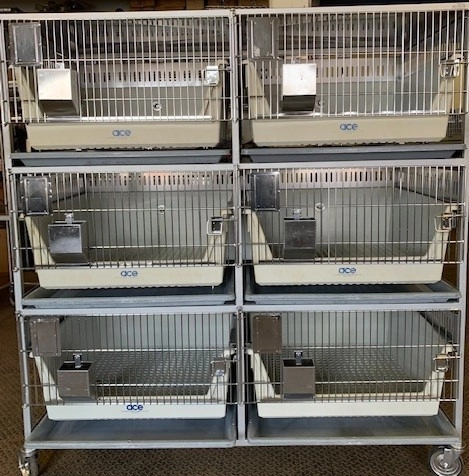 Allentown 6 cage Rabbit Rack with Socialization