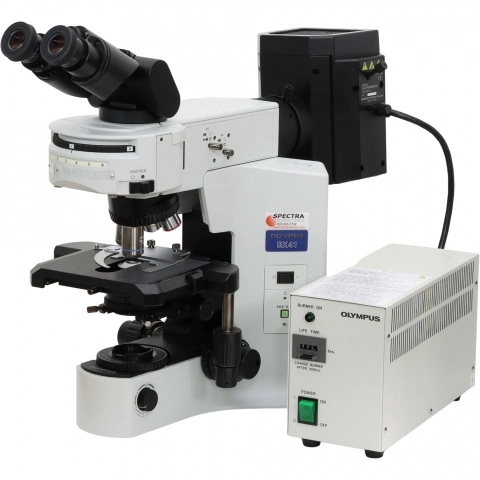 Olympus BX41 Microscope with Tilting Head and FITC Fluorescence