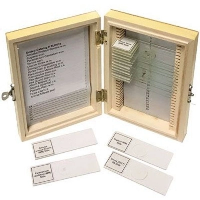 United Scientific Biology Prepared Slide Set of 16 SLD016