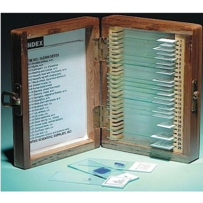 United Scientific Basic Prepared Slide Set of 25 SLD025-SET/25