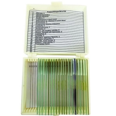 United Scientific Protozoa and Algae Slide Set of 20 UNSLPRAL20