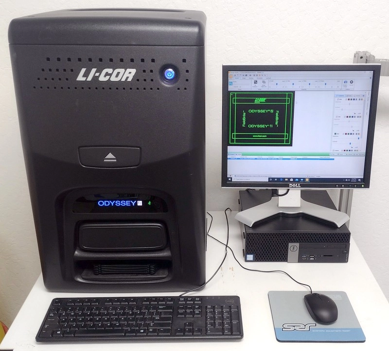 Li-Cor Odyssey Fc 2800 Imaging System