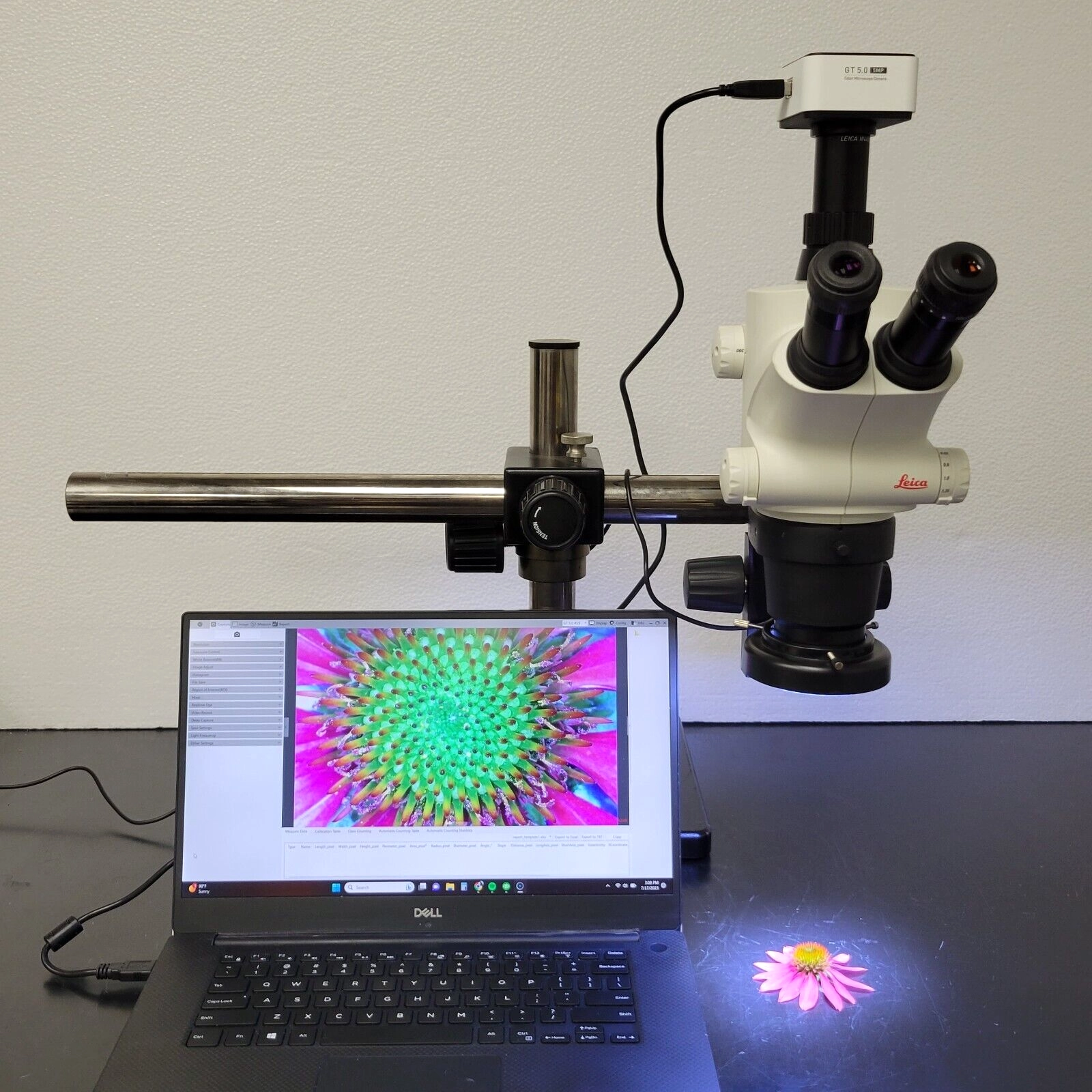 Leica Stereo Microscope S6D with Boomstand, Trinocular Pod, and Camera