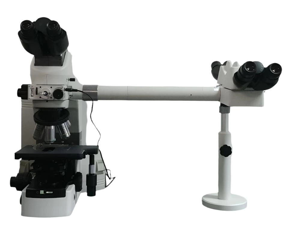 Nikon Microscope Eclipse 80i with Dual Head Bridge