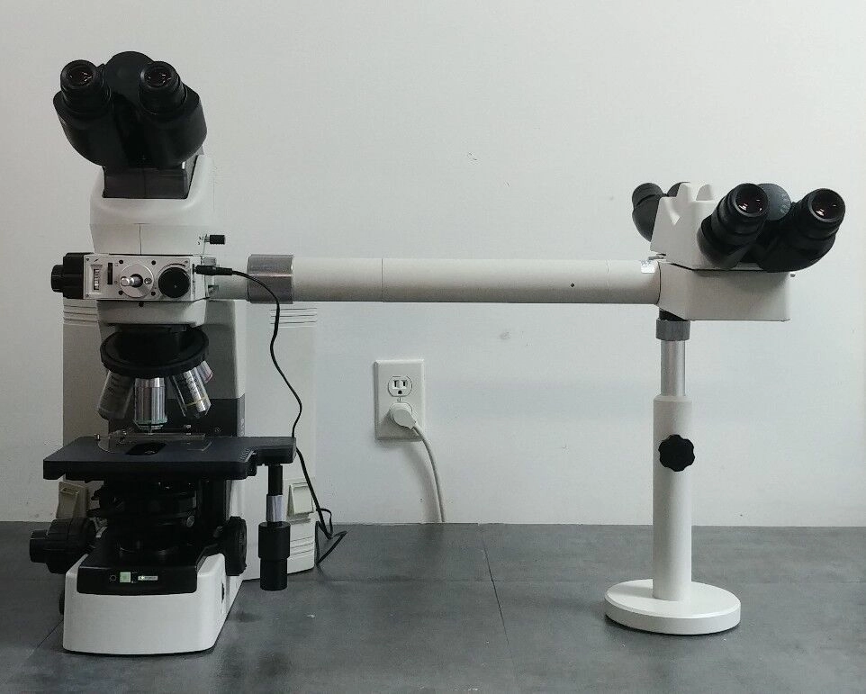 Nikon Microscope Eclipse E400 with Dual Head Bridge | LabX.com