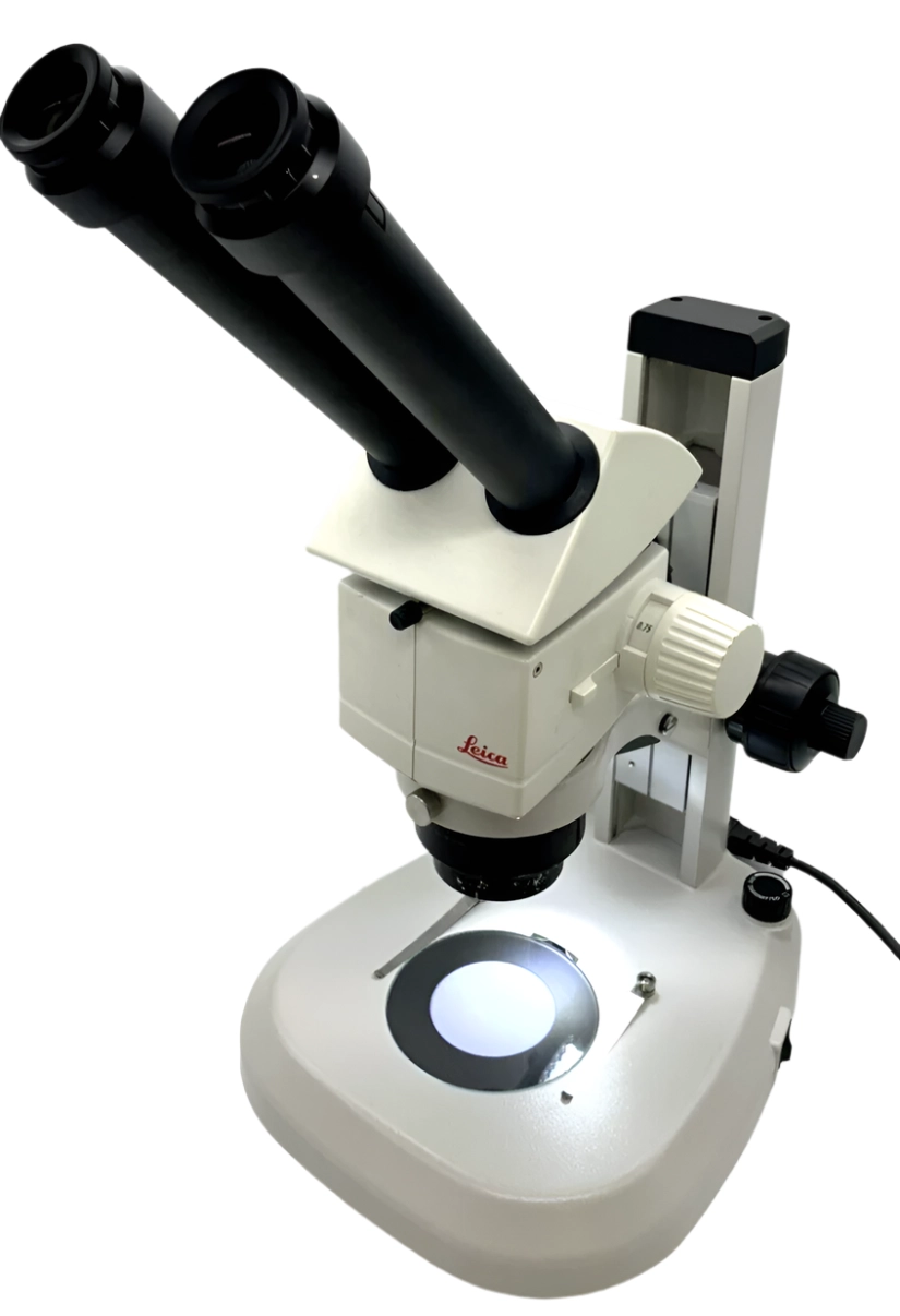 Leica Stereo Microscope M80 with Transmitted &amp; Reflected Light Stand