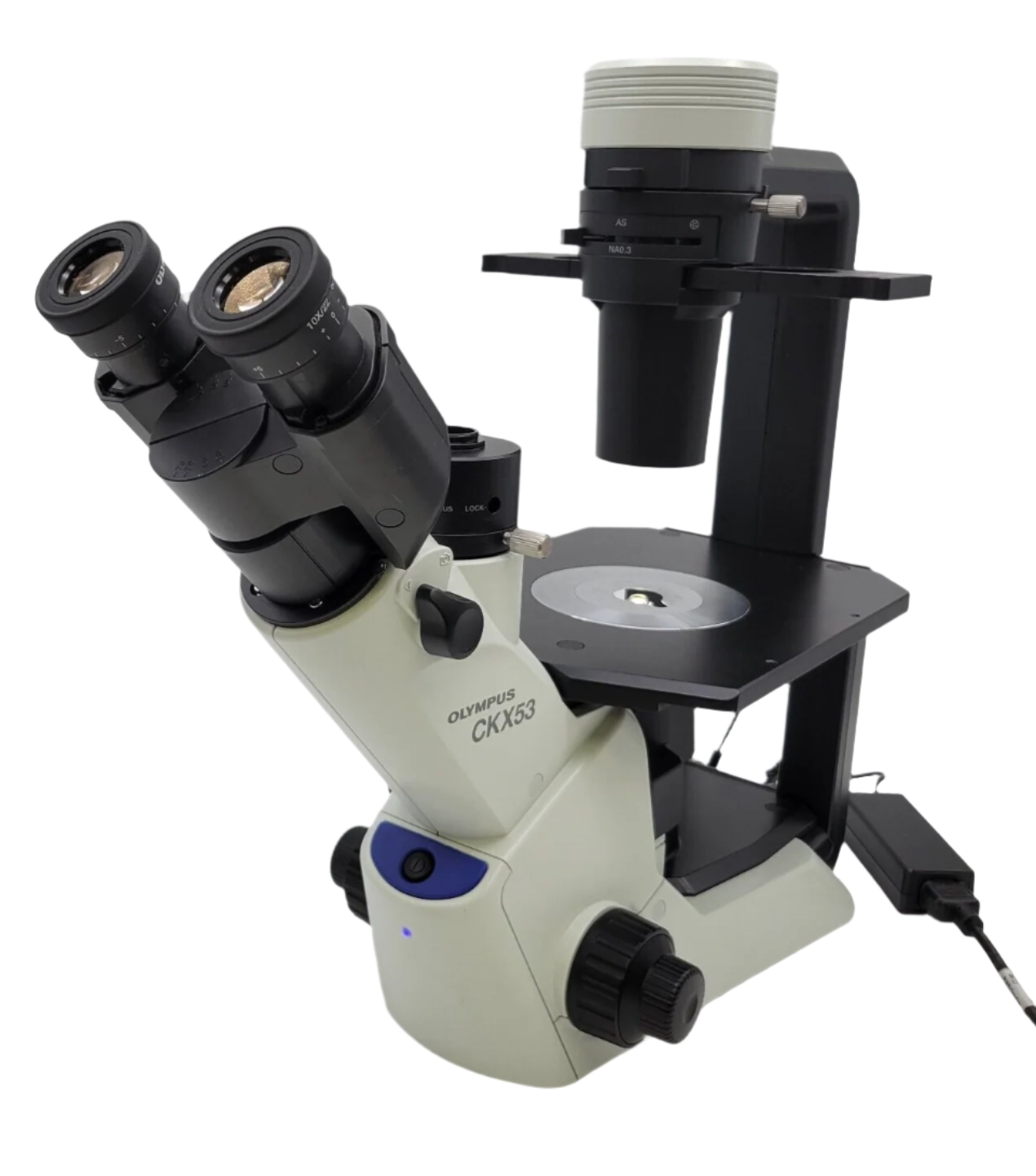 Olympus Microscope CKX53 Inverted with Phase Contrast