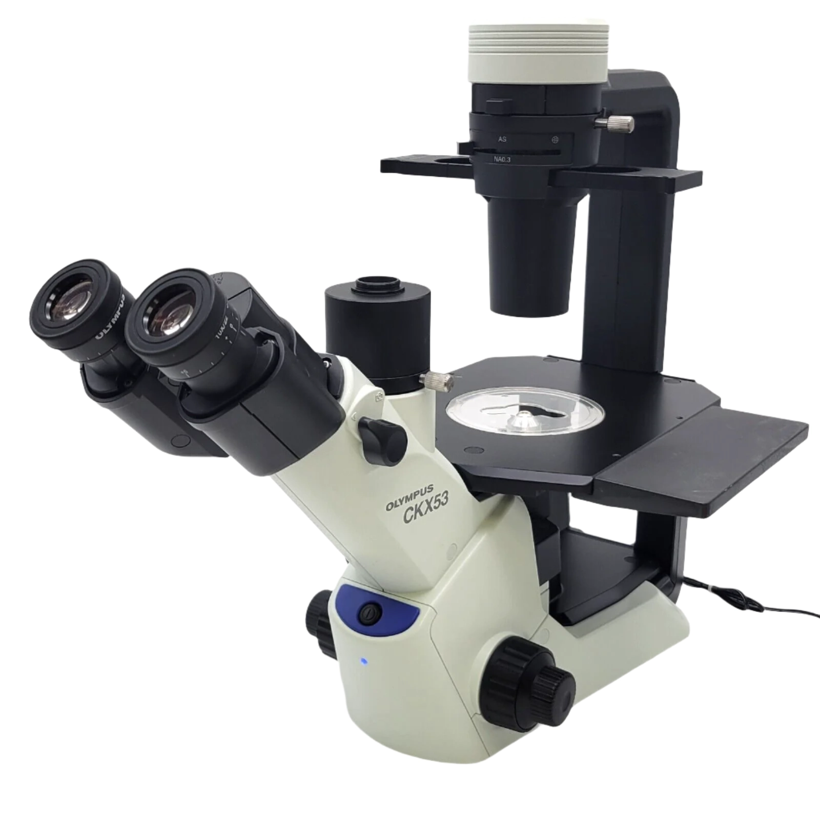 Olympus Microscope CKX53 Inverted with Phase Contrast and IPC Objectives