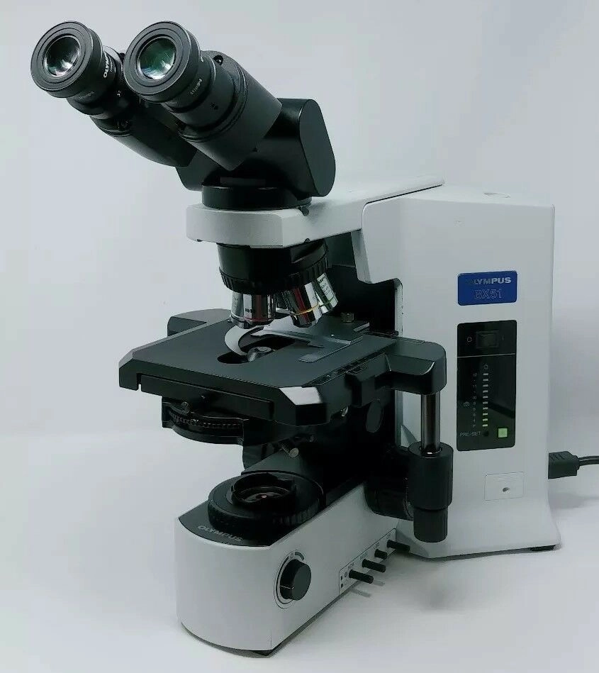 Olympus Microscope BX51 with Phase Contrast and Tilting Binocular Head