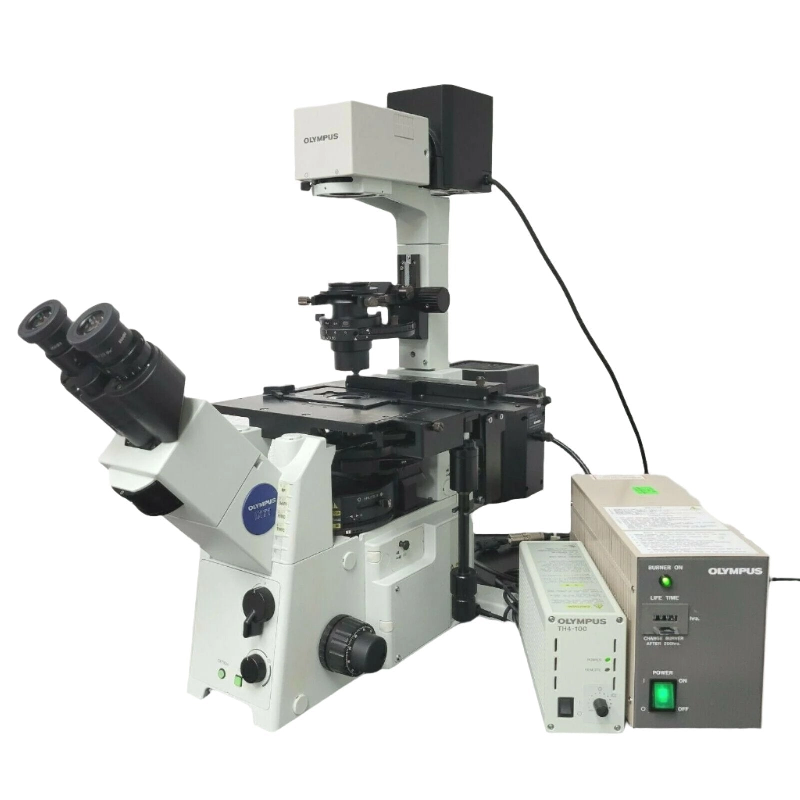 Main Image