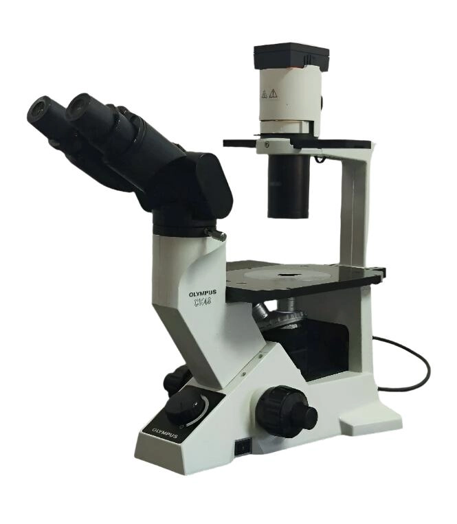 Olympus Microscope CK40 Phase Contrast Tissue Culture