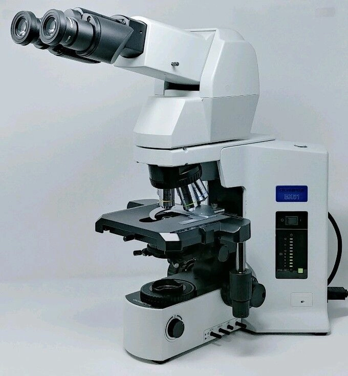 Olympus Microscope BX51 with Tilting Telescoping Head Pathology / Mohs