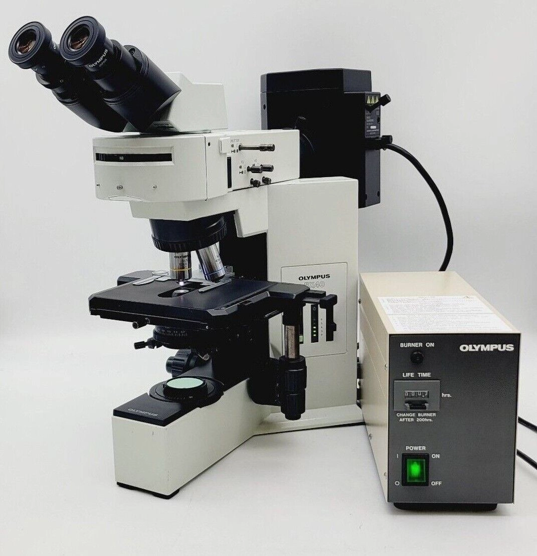 Olympus Microscope BX40 with Fluorescence, 10x, and 40x
