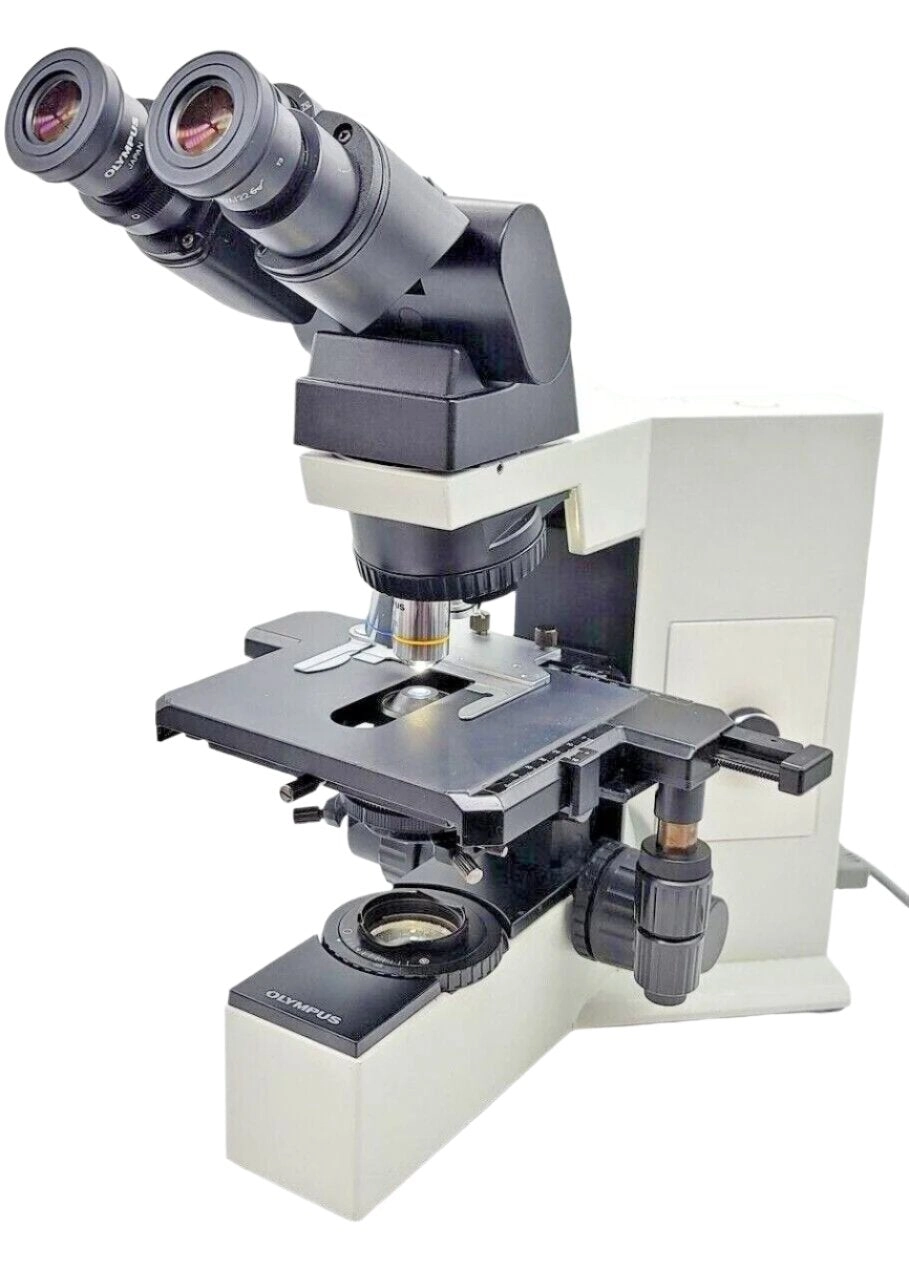 Olympus Microscope BX40 with LED and 100X oil