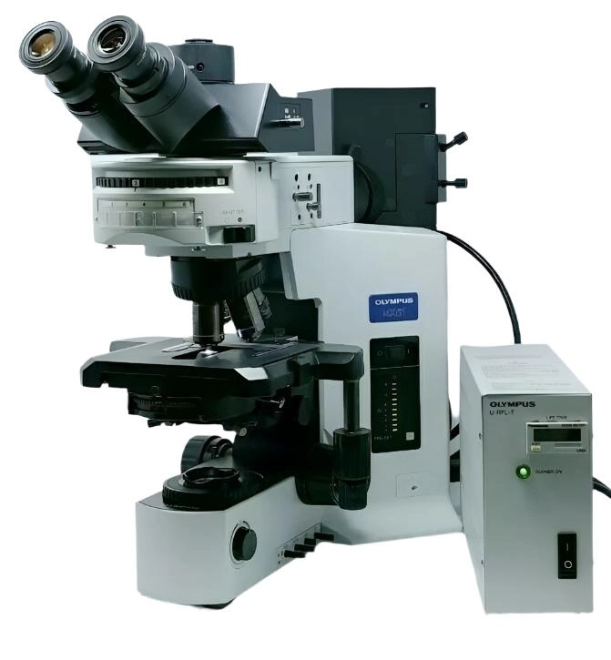 Olympus Microscope BX51 with Fluorescence and Phase Contrast