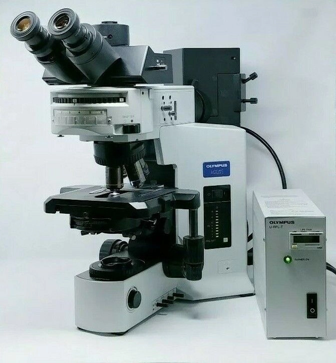 Olympus Microscope BX51 with Fluorescence and Phase Contrast