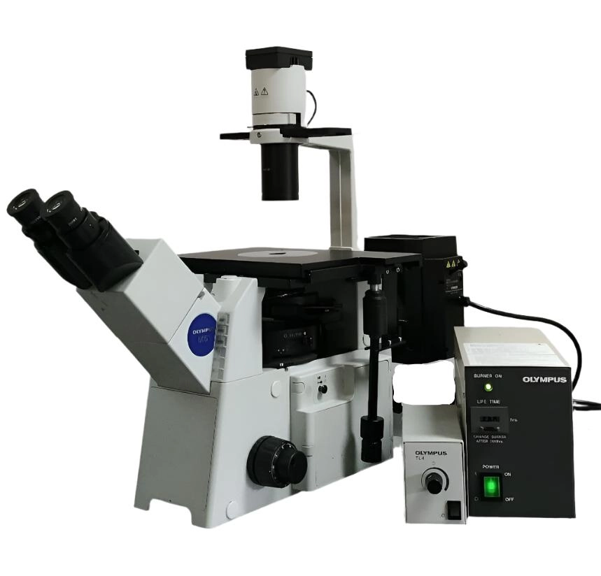 Olympus Microscope IX51 with Fluorescence and Phase Contrast