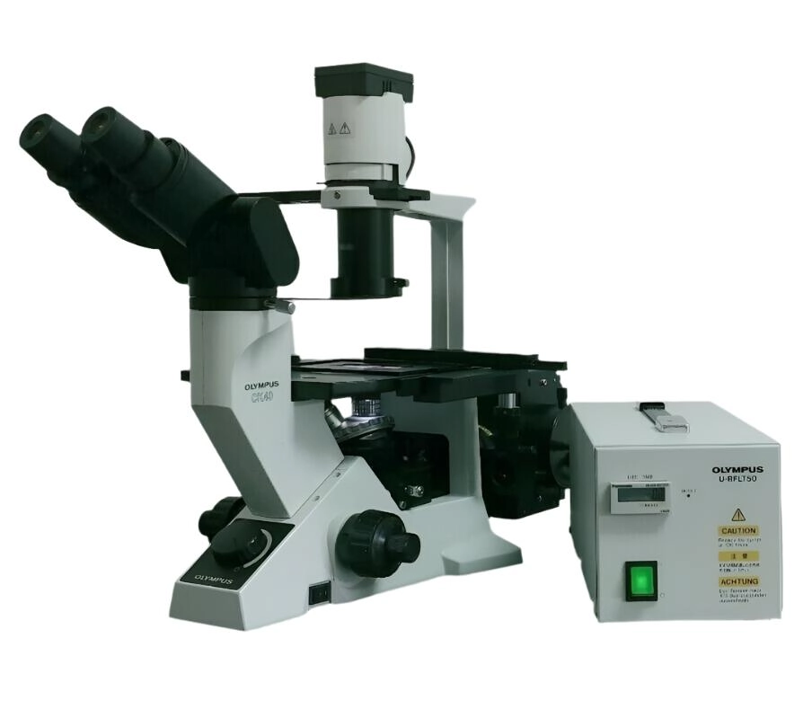 Olympus Microscope CK40 with Fluorescence, Phase Contrast, and Binocular Head