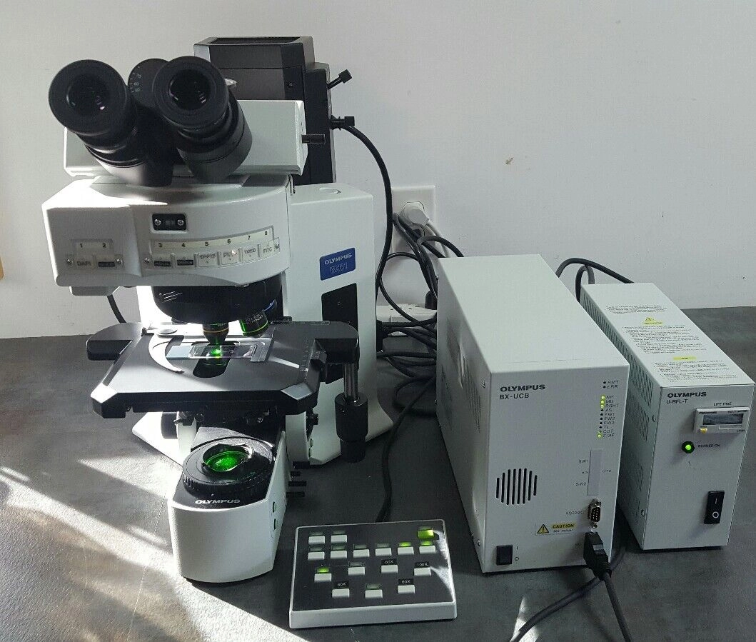 Olympus Microscope BX61 FISH Fluorescence In Situ