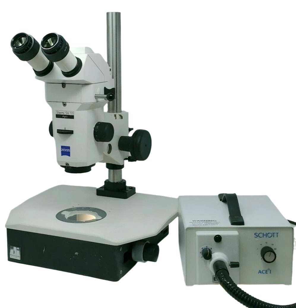 Zeiss Microscope Stemi SV 11 Apo with Transmitted Light Stand