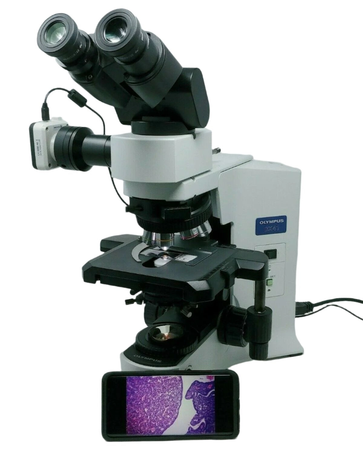 Olympus Microscope BX41 with 2x, 60x, and Camera