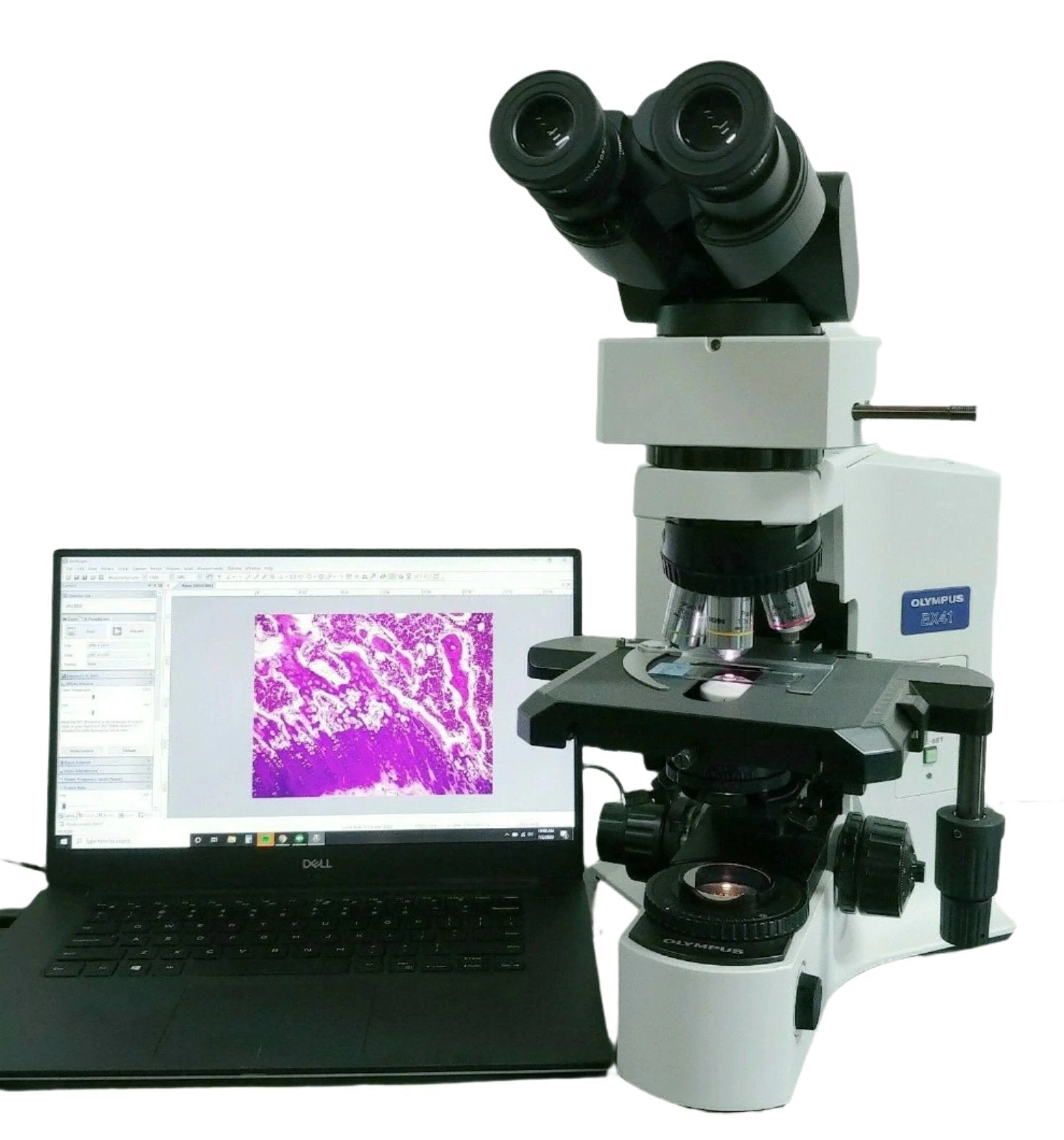 Main Image
