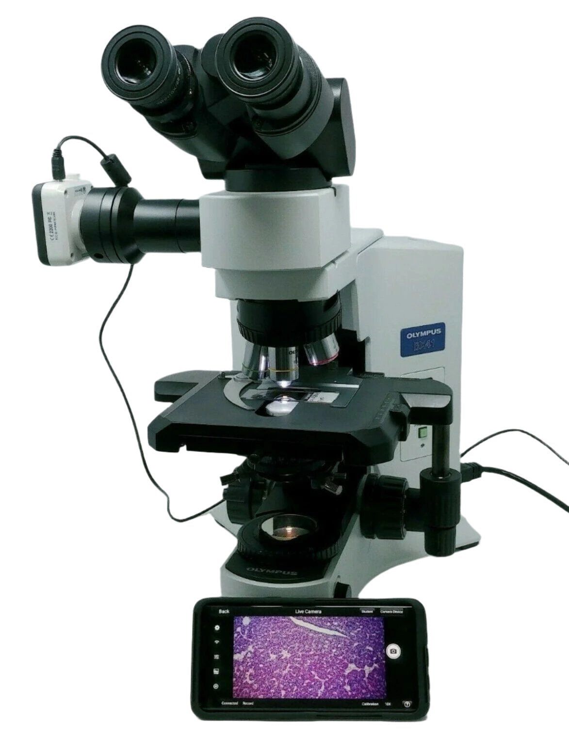 Olympus Microscope BX41 with 2x and Camera