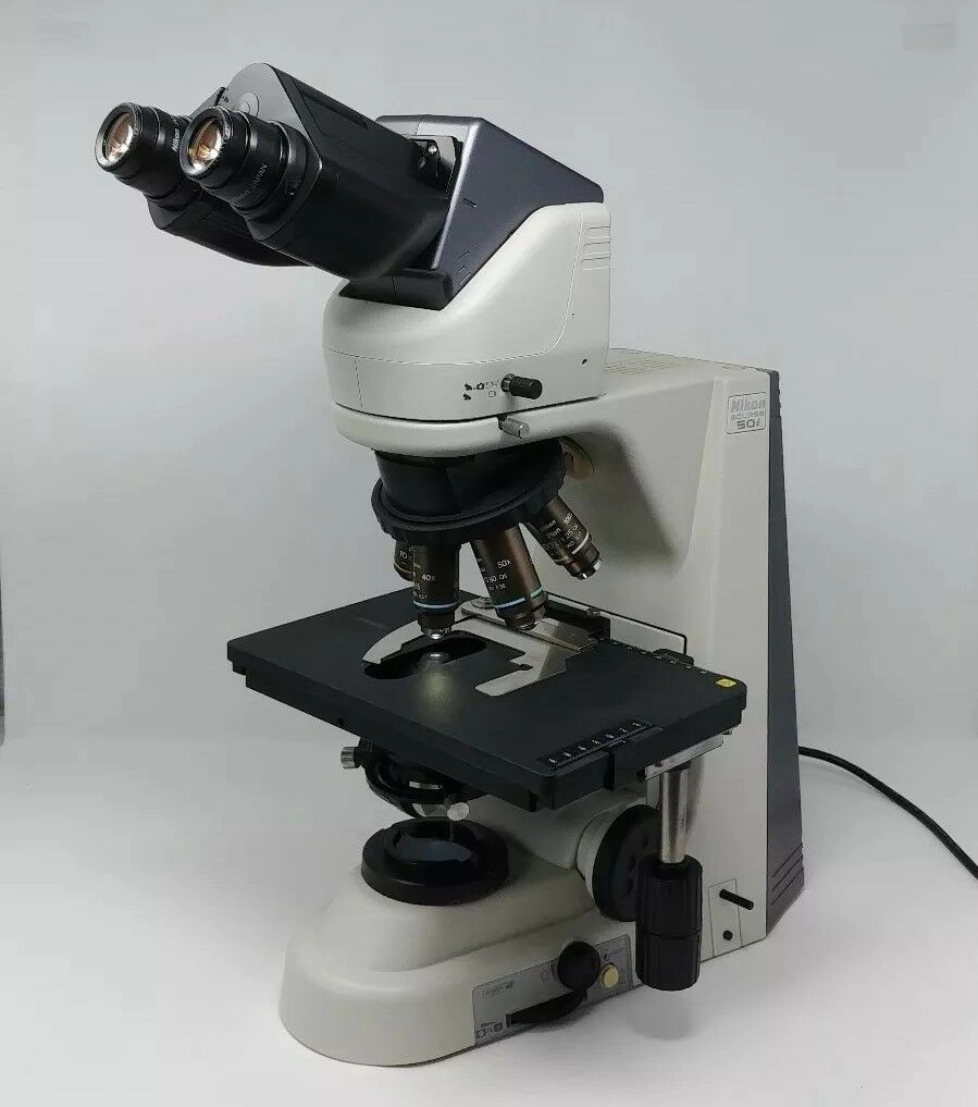 Nikon Microscope Eclipse 50i with 50x Oil Objective