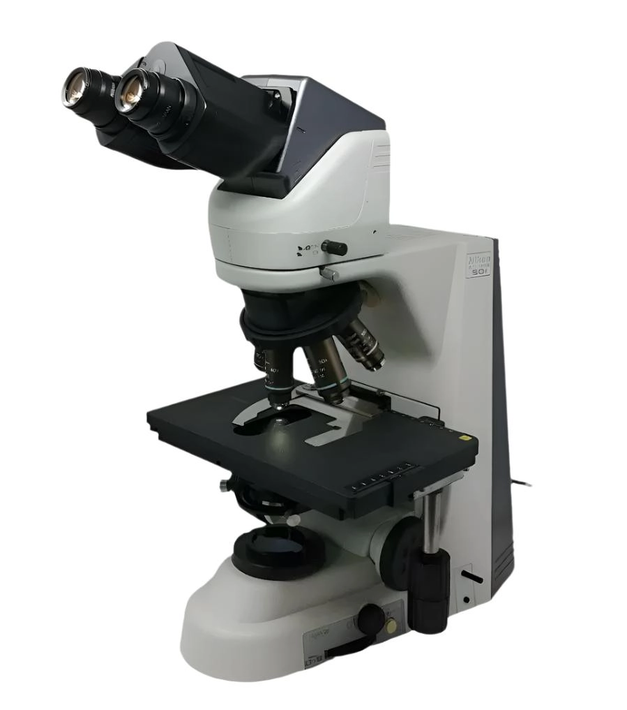 Nikon Microscope Eclipse 50i with 50x Oil Objective