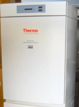 Thermo / Forma 3120 Water-Jacketed CO2 Incubator
