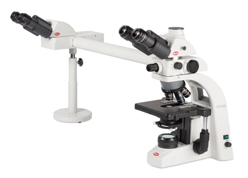 Motic BAT-BA310E-MVH2 Dual Observation System (side by side)