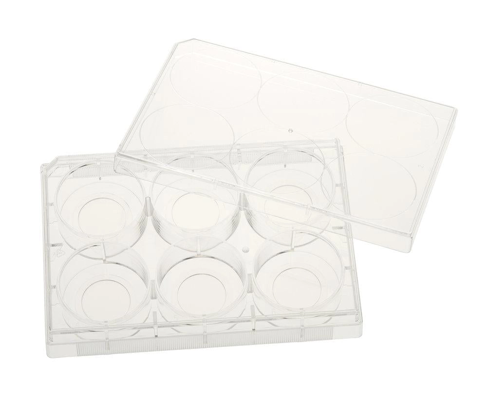 CELLTREAT Plates - Multiple Well Plates, Glass Bottom (Tissue Culture Treated)