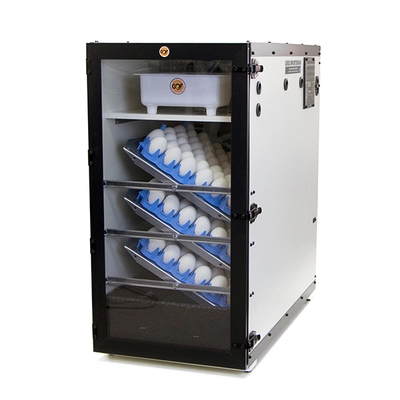 GQF 3065R - Clear Door for New Cabinet Incubators