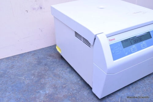 THERMO SCIENTIFIC SORVALL ST8 75007200 LABORATORY | LabX.com