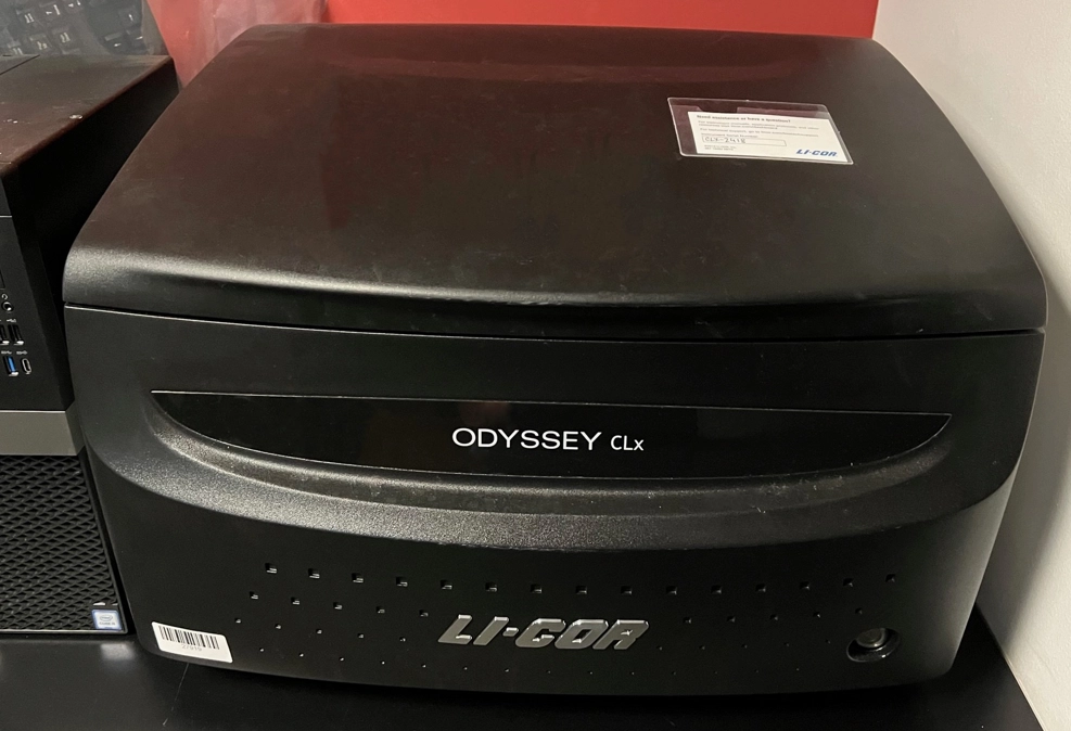 Li-Cor Odyssey CLx Infared Imaging System